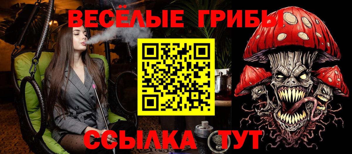 Галлюциногенные грибы GOLDEN TEACHER Мурманск