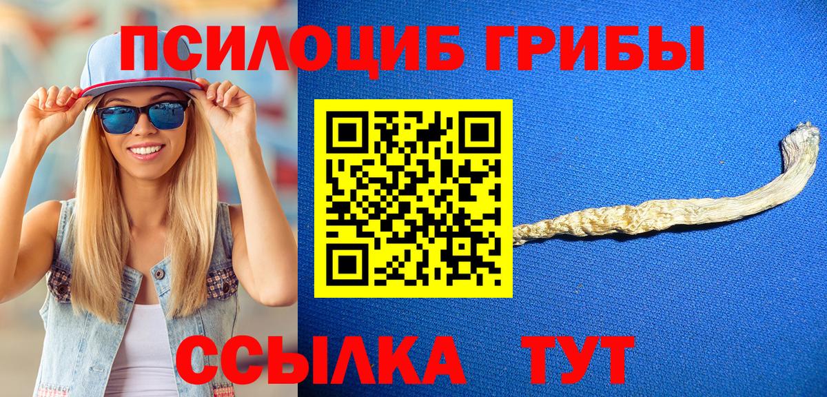 Псилоцибиновые грибы мухоморы  Галлюциногенные грибы прущие грибы  Вход с VPN  Мурманск 